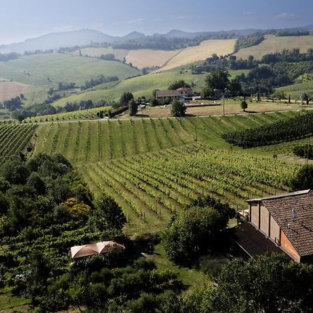 La Ca Dal Non Bioagriturismo - Alpenice Savignano sul Panaro ภายนอก รูปภาพ