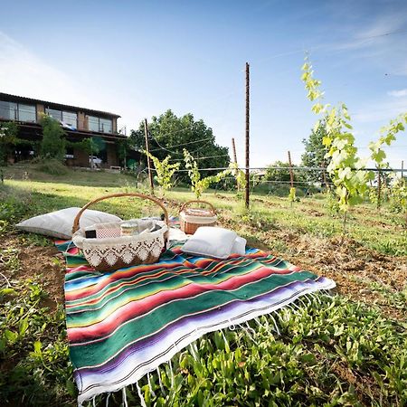 La Ca Dal Non Bioagriturismo - Alpenice Savignano sul Panaro ภายนอก รูปภาพ