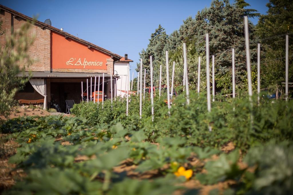 La Ca Dal Non Bioagriturismo - Alpenice Savignano sul Panaro ภายนอก รูปภาพ