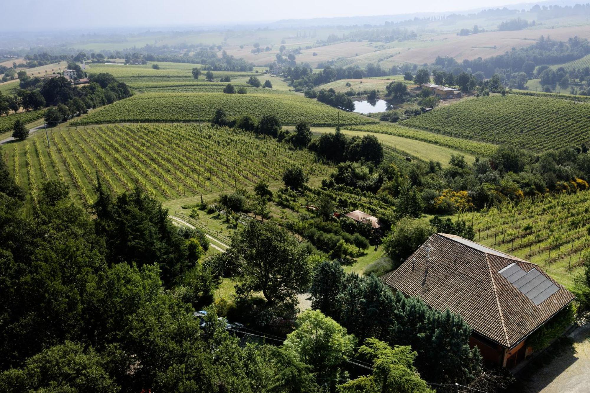 La Ca Dal Non Bioagriturismo - Alpenice Savignano sul Panaro ภายนอก รูปภาพ