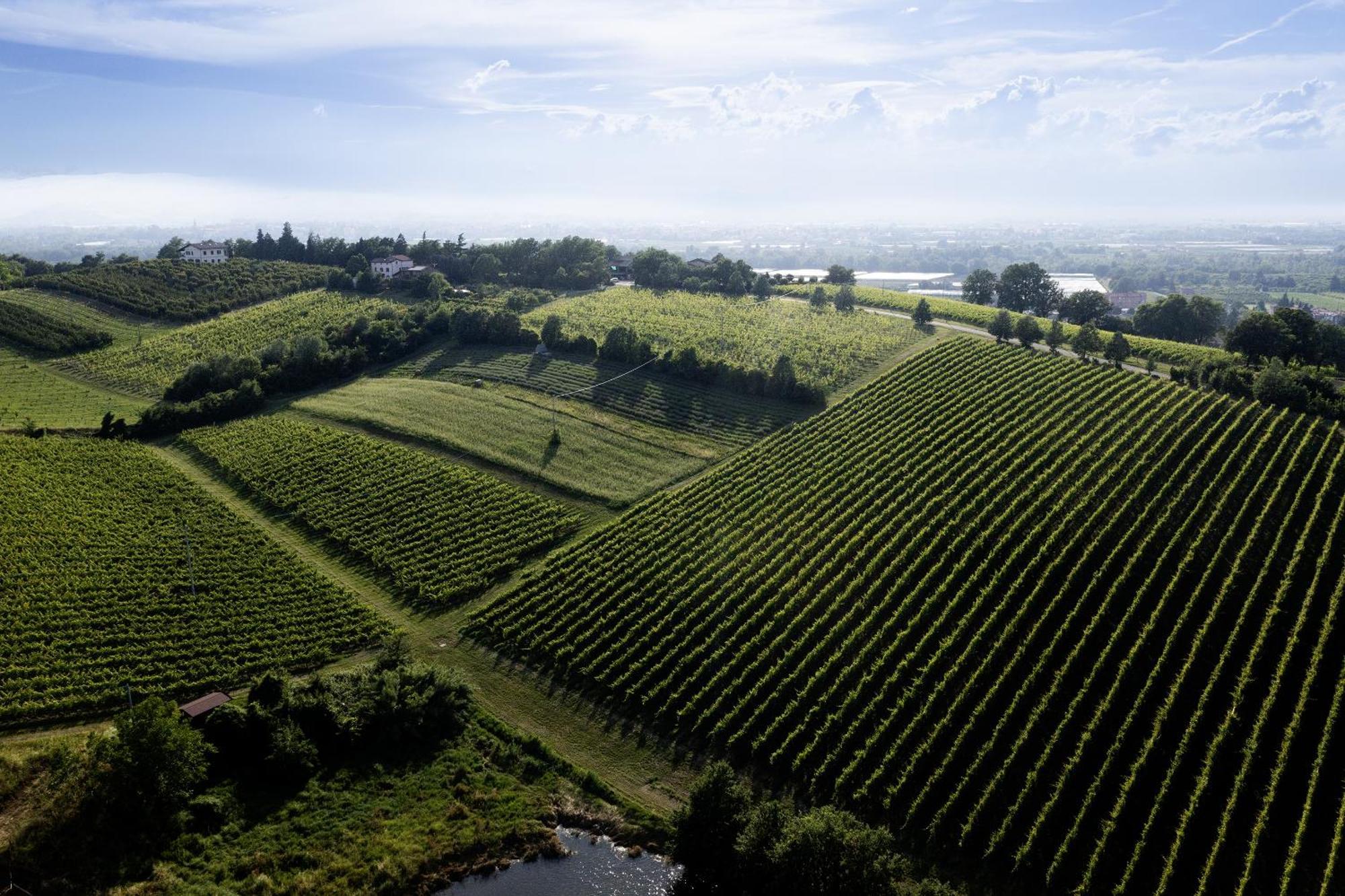 La Ca Dal Non Bioagriturismo - Alpenice Savignano sul Panaro ภายนอก รูปภาพ