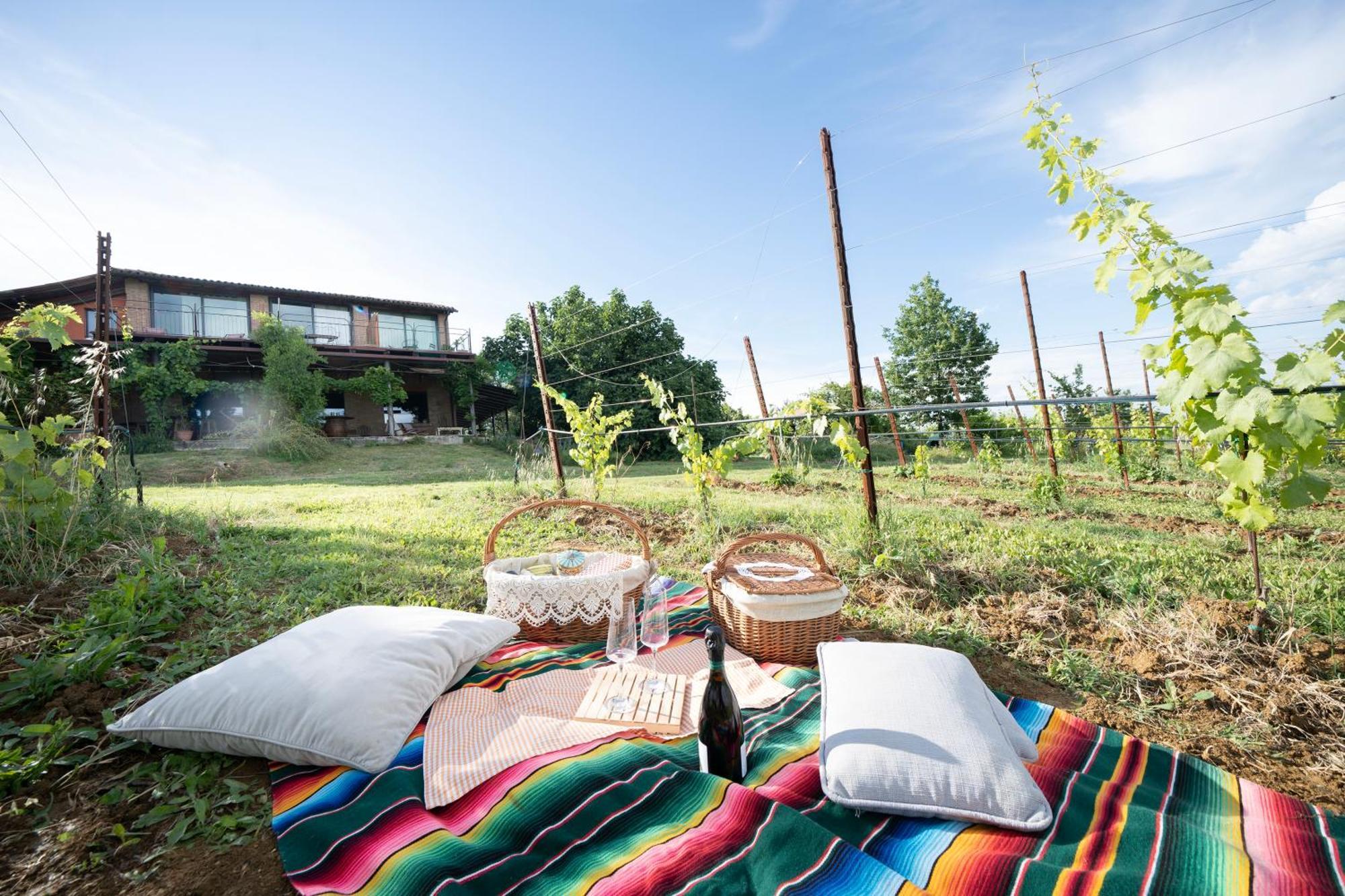 La Ca Dal Non Bioagriturismo - Alpenice Savignano sul Panaro ภายนอก รูปภาพ