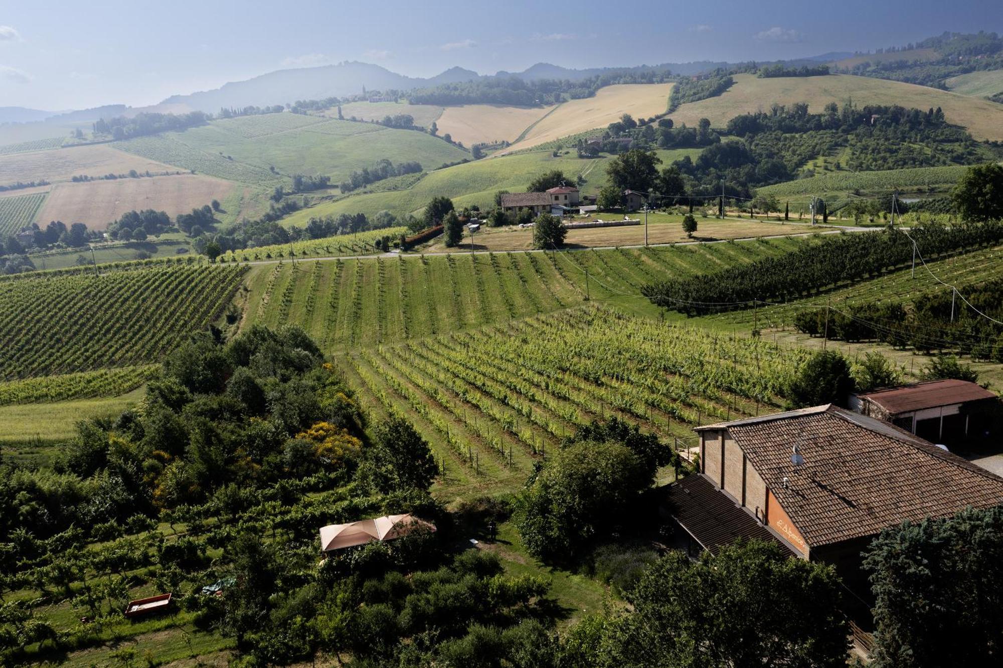 La Ca Dal Non Bioagriturismo - Alpenice Savignano sul Panaro ภายนอก รูปภาพ
