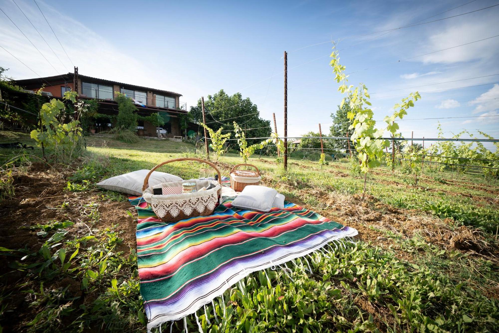 La Ca Dal Non Bioagriturismo - Alpenice Savignano sul Panaro ภายนอก รูปภาพ