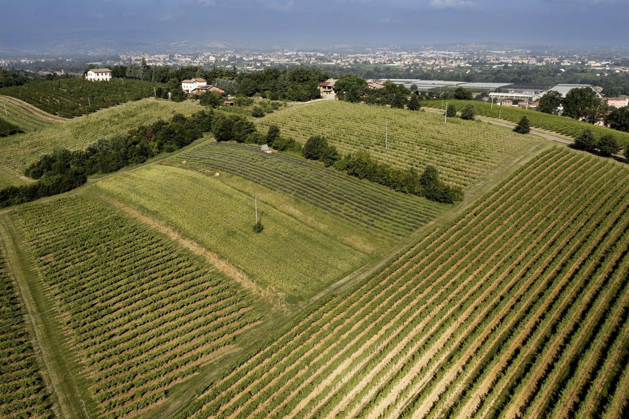 La Ca Dal Non Bioagriturismo - Alpenice Savignano sul Panaro ภายนอก รูปภาพ